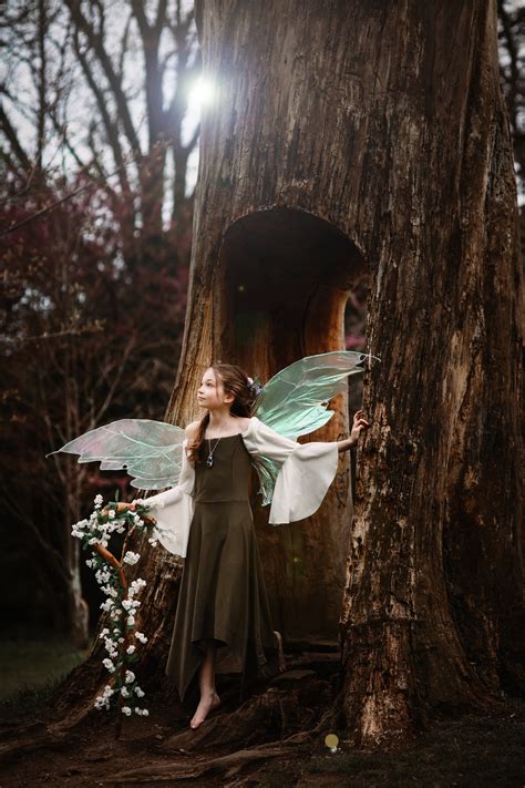 The site will be updated frequently with new excerpts from the Fairy Journals, New fairy sightings, Specifics about each location a fairy map. . Latest fairy sightings